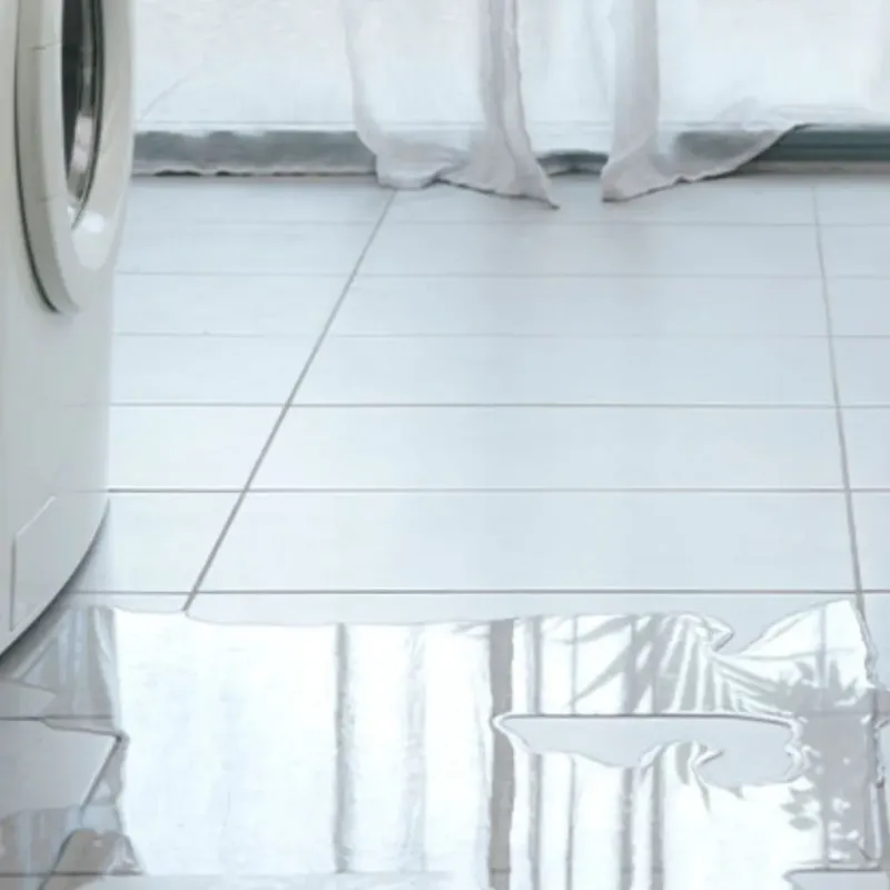 Appliance Leak Cleanup in Baldwin County, GA