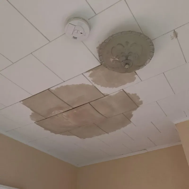 Ceiling Water Damage Repair in Baldwin County, GA
